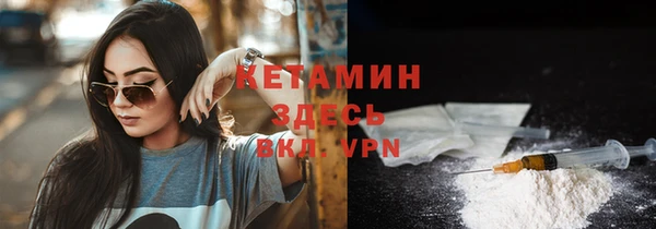 трава Новозыбков