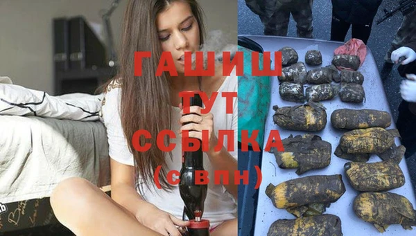 трава Новозыбков