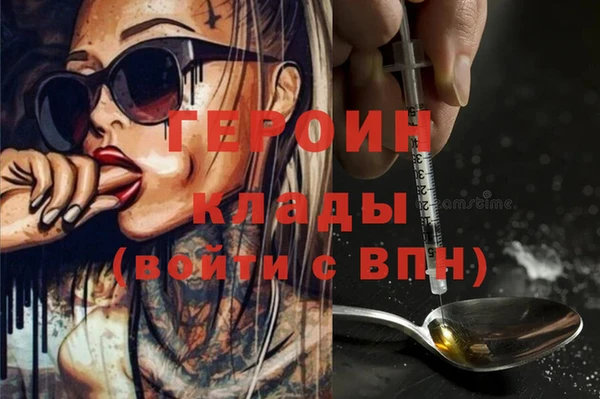 твердый Кропоткин
