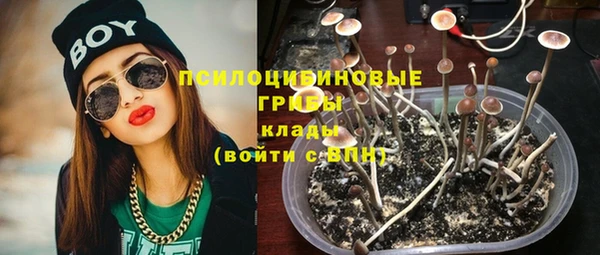 трава Новозыбков