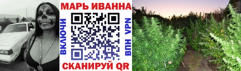 Конопля Amnesia  где можно купить наркотик  Починок 